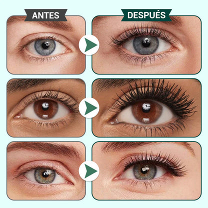 🔥Conjunto de Máscara de Pestañas de Longitud y Rizo Últimos pro