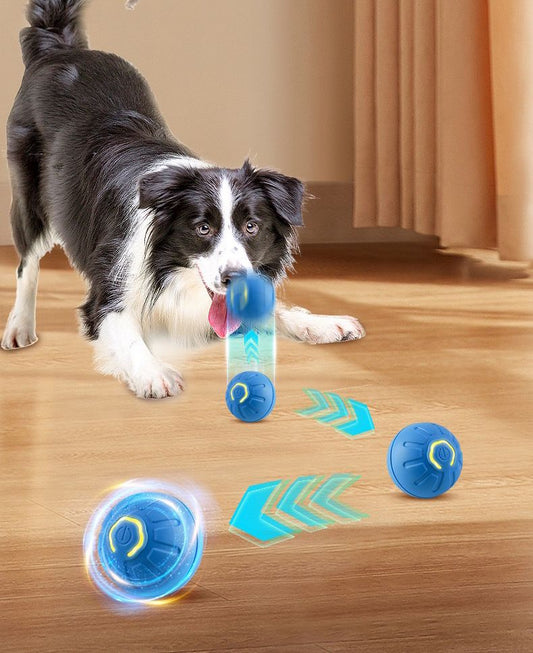 Pelota Inteligente Interactivo para Mascotas DynaBall™