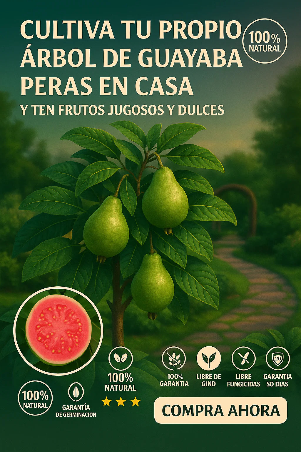 SEMILLAS PREMIUM DE GUAYABA PERA GIGANTE