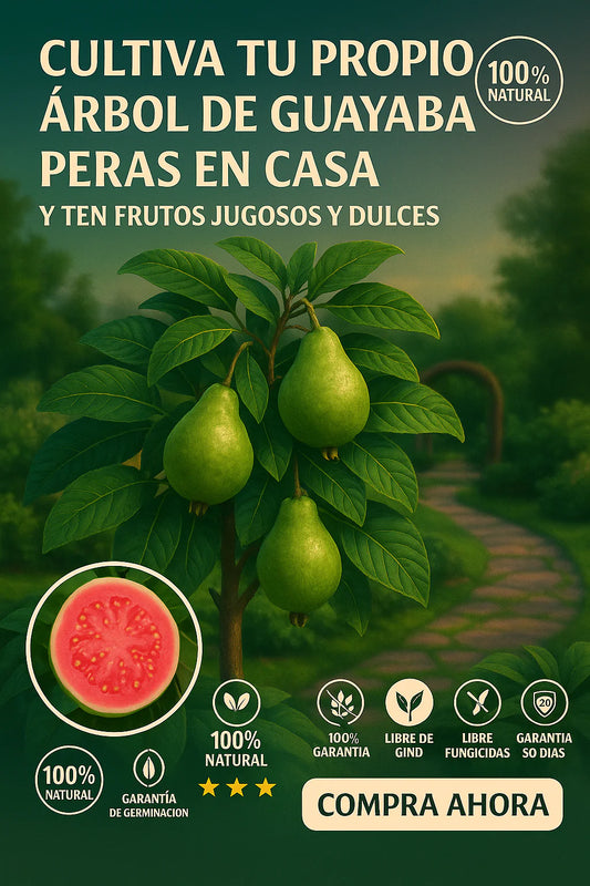 SEMILLAS PREMIUM DE GUAYABA PERA GIGANTE