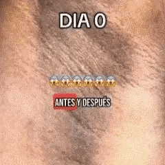 Truly Glazed Donut™ Aceite para Zona Intima con Aroma